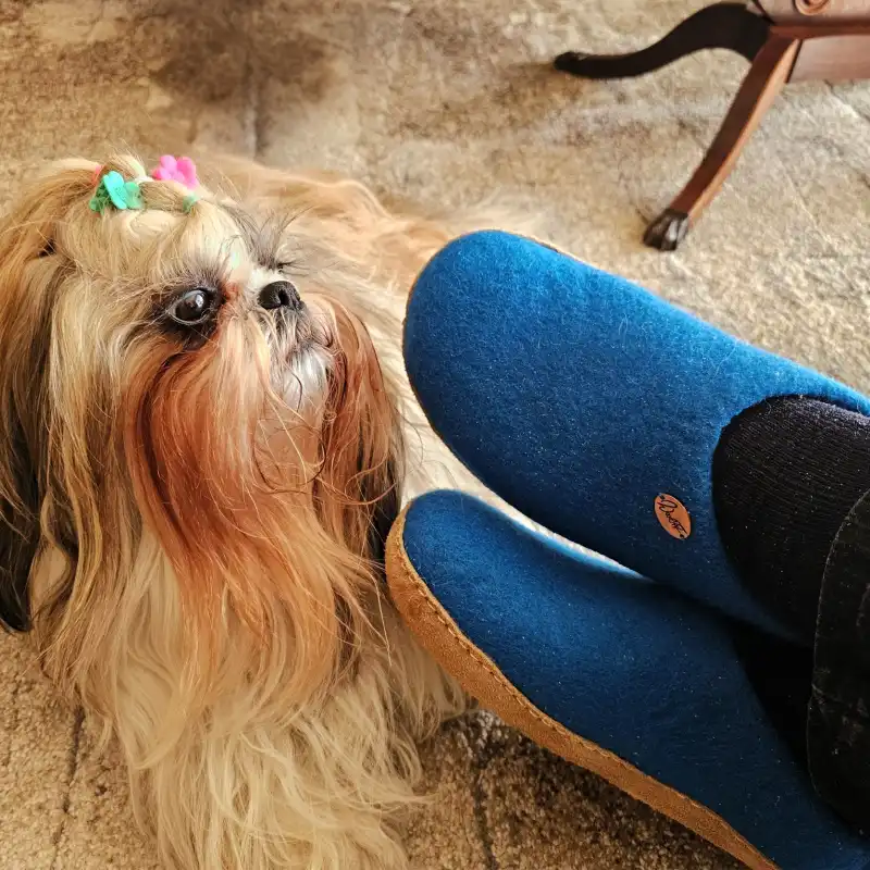 DEAL: German Slippers