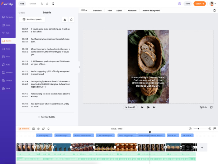 Working with Script in FlexClip