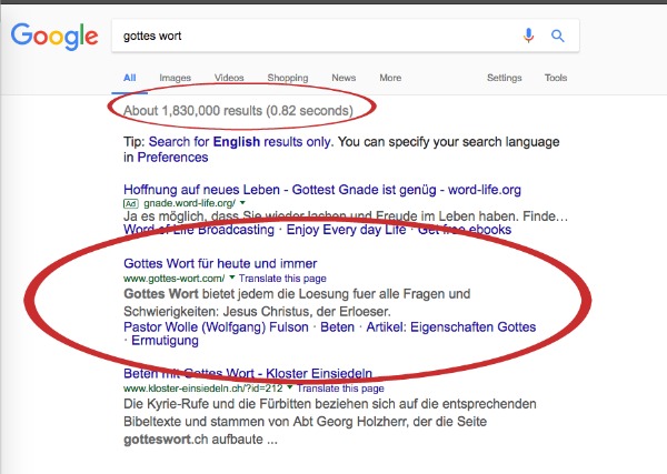 SBI! review screenshot showing google search results for my German website